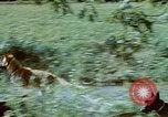 Image of Eva Braun Germany, 1940, second 46 stock footage video 65675048060