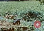 Image of Eva Braun Germany, 1940, second 47 stock footage video 65675048060