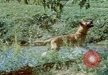 Image of Eva Braun Germany, 1940, second 49 stock footage video 65675048060