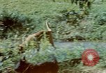 Image of Eva Braun Germany, 1940, second 56 stock footage video 65675048060