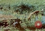 Image of Eva Braun Germany, 1940, second 57 stock footage video 65675048060