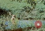 Image of Eva Braun Germany, 1940, second 59 stock footage video 65675048060