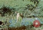 Image of Eva Braun Germany, 1940, second 60 stock footage video 65675048060