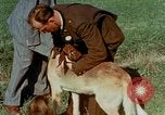 Immagine di Eva Braun Germania, 1940, secondo 45 filmato di repertorio 65675048061