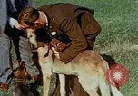 Immagine di Eva Braun Germania, 1940, secondo 46 filmato di repertorio 65675048061