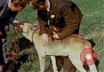 Immagine di Eva Braun Germania, 1940, secondo 48 filmato di repertorio 65675048061