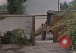Immagine di Eva Braun e famiglia Germania, 1940, secondo 54 filmato di repertorio 65675048064