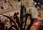 Immagine di Eva Braun Italia, 1940, secondo 50 filmato di repertorio 65675048065