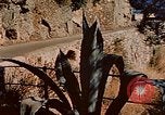Immagine di Eva Braun Italia, 1940, secondo 52 filmato di repertorio 65675048065
