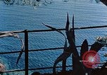 Immagine di Eva Braun Italia, 1940, secondo 57 filmato di repertorio 65675048065