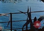 Immagine di Eva Braun Italia, 1940, secondo 58 filmato di repertorio 65675048065
