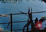 Immagine di Eva Braun Italia, 1940, secondo 61 filmato di repertorio 65675048065
