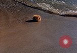 Immagine di Eva Braun Italia, 1940, secondo 61 filmato di repertorio 65675048066