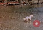 Standbild Urlaub Italien, 1938, aus Sekunde 42 historischem Filmmaterial Videoclip 65675048078