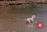 Standbild Urlaub Italien, 1938, aus Sekunde 43 historischem Filmmaterial Videoclip 65675048078