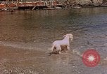 Standbild Urlaub Italien, 1938, aus Sekunde 44 historischem Filmmaterial Videoclip 65675048078