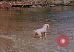 Standbild Urlaub Italien, 1938, aus Sekunde 45 historischem Filmmaterial Videoclip 65675048078
