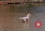 Standbild Urlaub Italien, 1938, aus Sekunde 46 historischem Filmmaterial Videoclip 65675048078