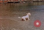 Standbild Urlaub Italien, 1938, aus Sekunde 48 historischem Filmmaterial Videoclip 65675048078
