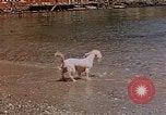 Standbild Urlaub Italien, 1938, aus Sekunde 50 historischem Filmmaterial Videoclip 65675048078