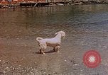 Standbild Urlaub Italien, 1938, aus Sekunde 51 historischem Filmmaterial Videoclip 65675048078