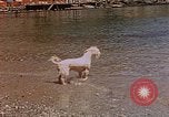 Standbild Urlaub Italien, 1938, aus Sekunde 52 historischem Filmmaterial Videoclip 65675048078