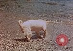 Standbild Urlaub Italien, 1938, aus Sekunde 53 historischem Filmmaterial Videoclip 65675048078
