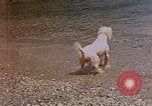 Standbild Urlaub Italien, 1938, aus Sekunde 55 historischem Filmmaterial Videoclip 65675048078