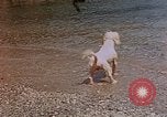 Standbild Urlaub Italien, 1938, aus Sekunde 56 historischem Filmmaterial Videoclip 65675048078