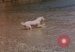 Standbild Urlaub Italien, 1938, aus Sekunde 57 historischem Filmmaterial Videoclip 65675048078