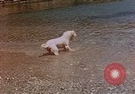 Standbild Urlaub Italien, 1938, aus Sekunde 60 historischem Filmmaterial Videoclip 65675048078