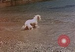 Standbild Urlaub Italien, 1938, aus Sekunde 62 historischem Filmmaterial Videoclip 65675048078