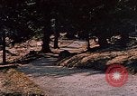Immagine di Hitler passeggiate in campagna vicino a Berghof Germania, 1940, secondo 13 filmato di repertorio 65675048084