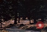 Immagine di Hitler passeggiate in campagna vicino a Berghof Germania, 1940, secondo 17 filmato di repertorio 65675048084