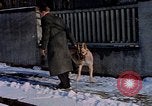 Immagine di Eva Braun Germania, 1940, secondo 8 filmato di repertorio 65675048086