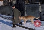 Immagine di Eva Braun Germania, 1940, secondo 10 filmato di repertorio 65675048086