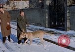 Immagine di Eva Braun Germania, 1940, secondo 12 filmato di repertorio 65675048086
