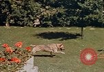 Image le Braun family house à Munich Allemagne, 1940, de la seconde 45 séquences d'archives historiques vidéo 65675048089
