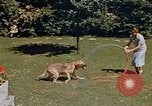 Image le Braun family house à Munich Allemagne, 1940, de la seconde 46 séquences d'archives historiques vidéo 65675048089