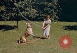 Image le Braun family house à Munich Allemagne, 1940, de la seconde 50 séquences d'archives historiques vidéo 65675048089