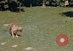 Image le Braun family house à Munich Allemagne, 1940, de la seconde 52 séquences d'archives historiques vidéo 65675048089