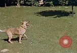 Image le Braun family house à Munich Allemagne, 1940, de la seconde 54 séquences d'archives historiques vidéo 65675048089