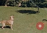 Image le Braun family house à Munich Allemagne, 1940, de la seconde 56 séquences d'archives historiques vidéo 65675048089