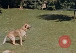 Image le Braun family house à Munich Allemagne, 1940, de la seconde 57 séquences d'archives historiques vidéo 65675048089