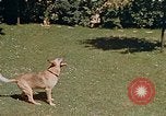 Image le Braun family house à Munich Allemagne, 1940, de la seconde 58 séquences d'archives historiques vidéo 65675048089