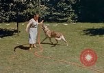 Image le Braun family house à Munich Allemagne, 1940, de la seconde 60 séquences d'archives historiques vidéo 65675048089