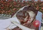 Image Adolf Hitler à la Berghof la Bavière en Allemagne, 1940, de la seconde 24 séquences d'archives historiques vidéo 65675048094