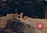 Immagine di Eva Braun Germania, 1940, secondo 4 filmato di repertorio 65675048102