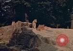 Immagine di Eva Braun Germania, 1940, secondo 5 filmato di repertorio 65675048102