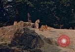 Immagine di Eva Braun Germania, 1940, secondo 7 filmato di repertorio 65675048102